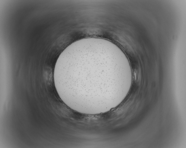 X0000111491251200908041135