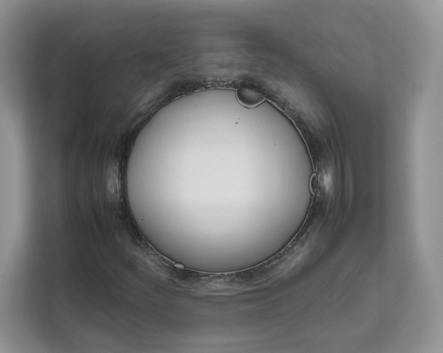 X0000111491252200908041135