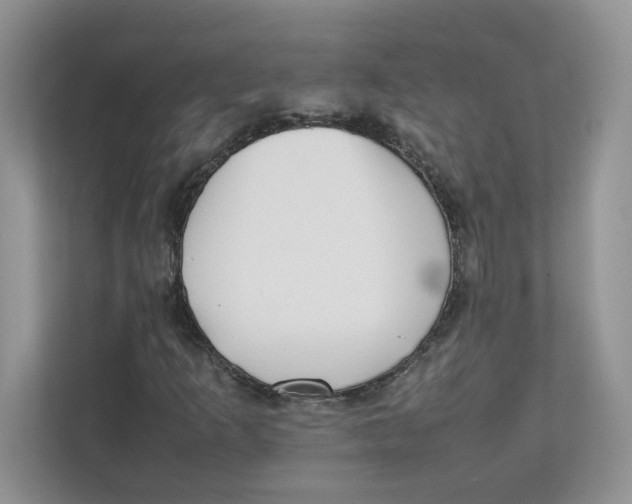 X0000111491253200908041135