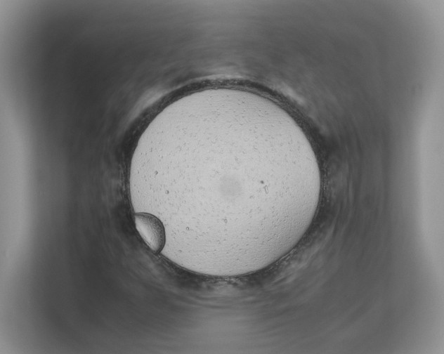 X0000111491255200908041135