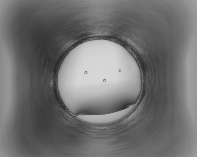 X0000111491257200908041135