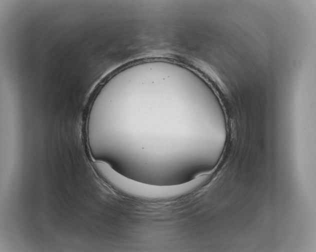 X0000111491260200908041135