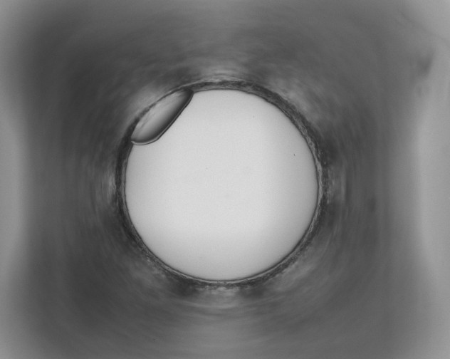 X0000111491261200908041135