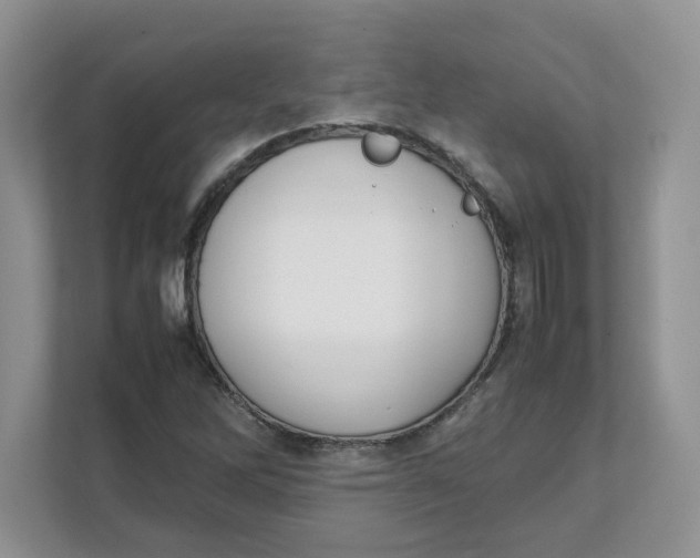 X0000111491262200908041135