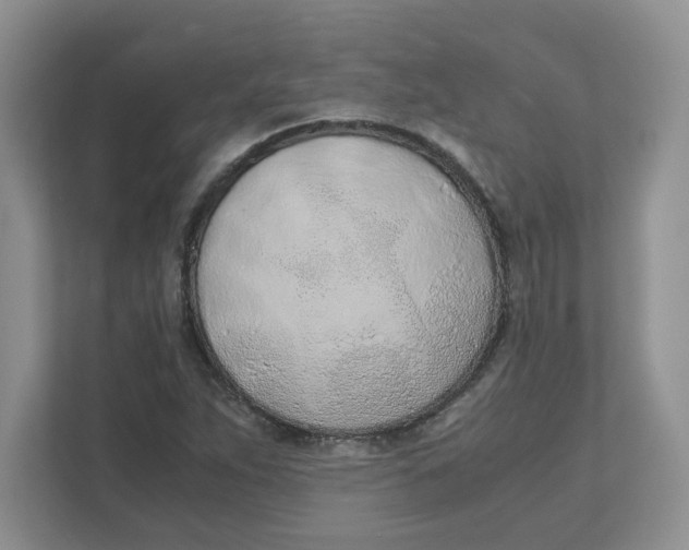 X0000111491263200908041135