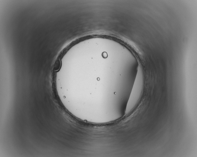 X0000111491264200908041135