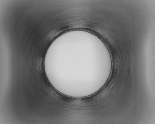 X0000111491265200908041135