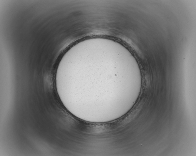 X0000111491266200908041135