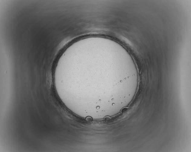 X0000111491267200908041135