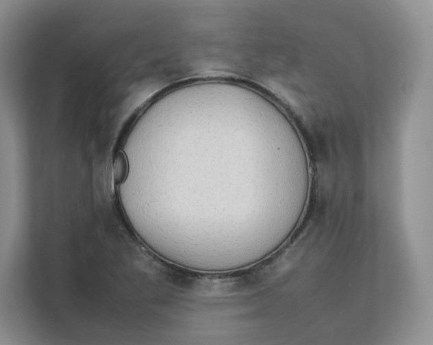 X0000111491269200908041135