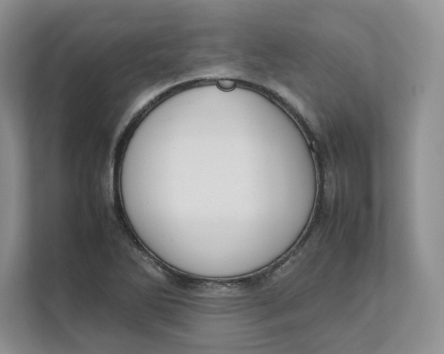 X0000111491270200908041135