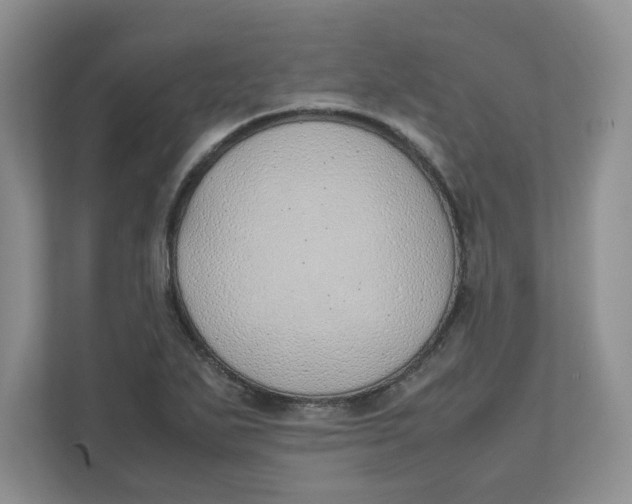 X0000111491271200908041135