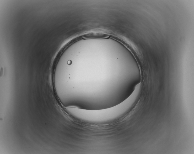 X0000111491272200908041135