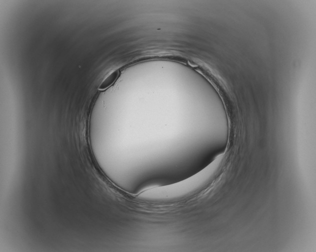 X0000111491273200908041135