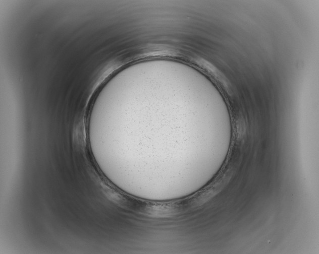 X0000111491274200908041135