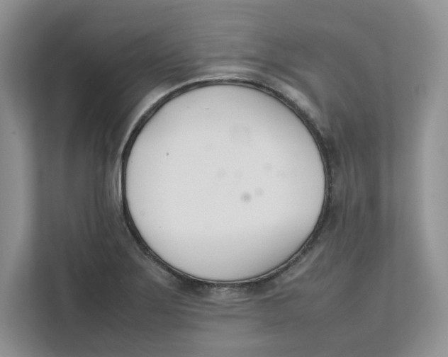 X0000111491275200908041135