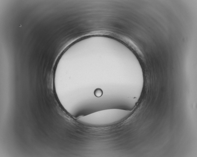 X0000111491276200908041135