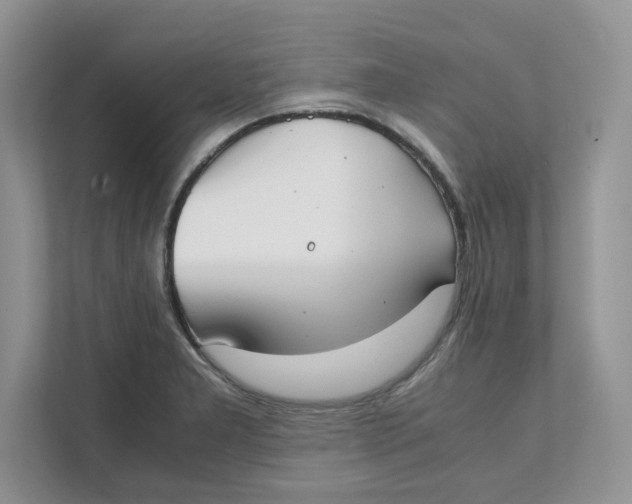 X0000111491277200908041135