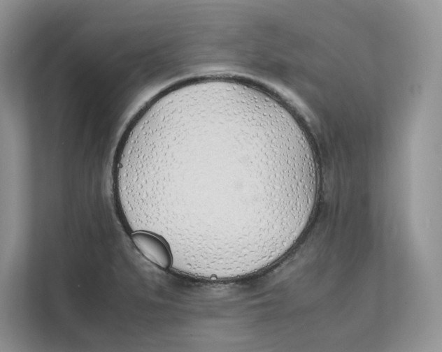 X0000111491279200908041135