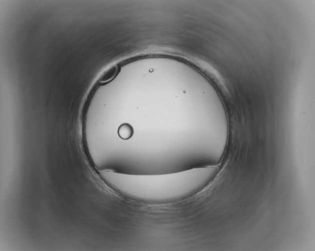 X0000111491280200908041135