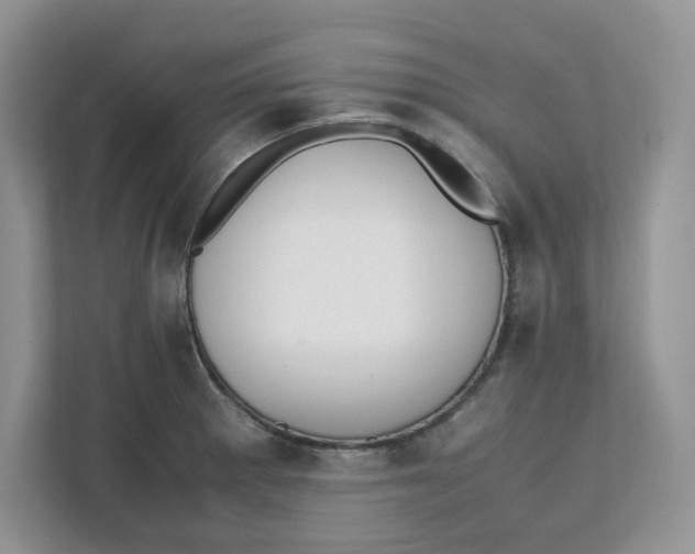 X0000111491281200908041135