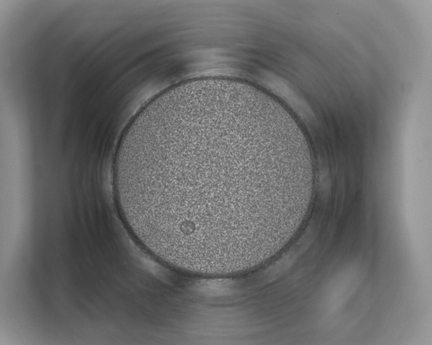 X0000111491282200908041135