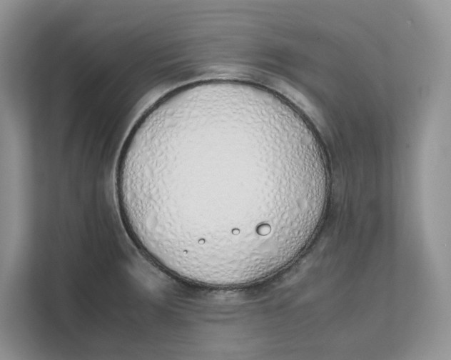 X0000111491283200908041135