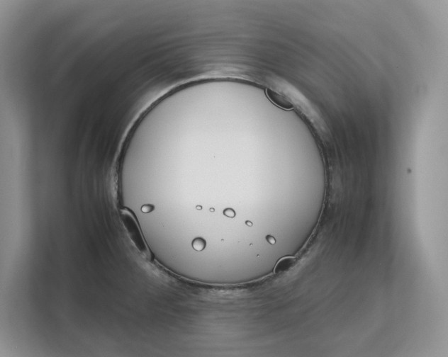 X0000111491284200908041135