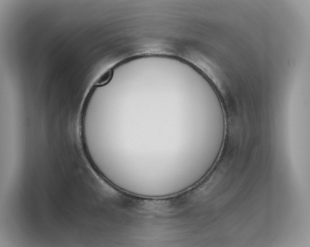 X0000111491285200908041135