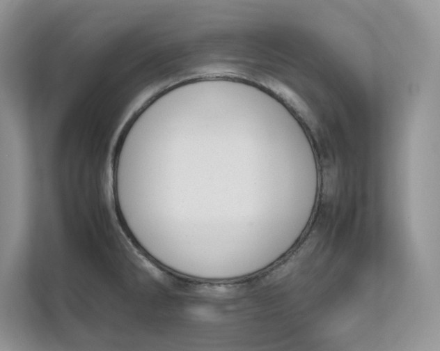 X0000111491286200908041135