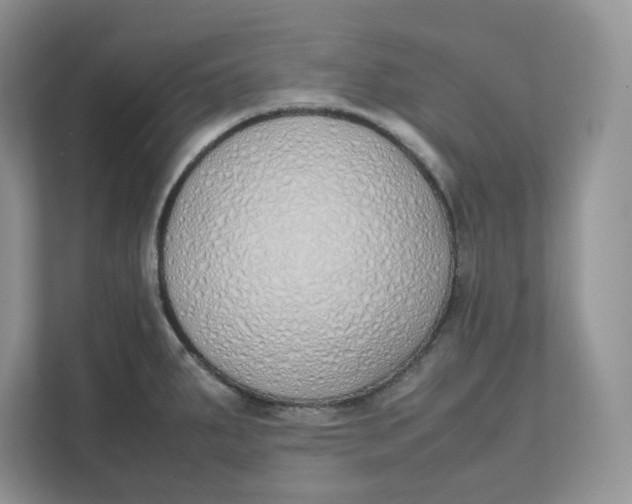 X0000111491287200908041135