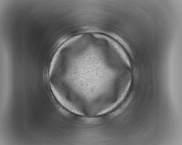 X0000111491289200908041135