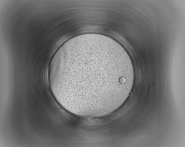 X0000111491290200908041135