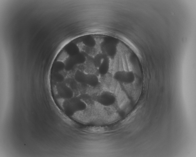 X0000111491291200908041135