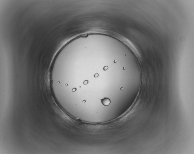 X0000111491292200908041135