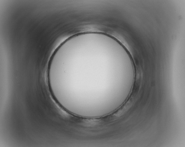 X0000111491293200908041134