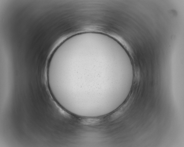 X0000111491294200908041134