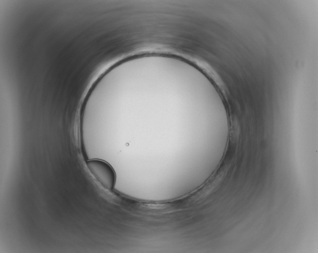 X0000111491295200908041134