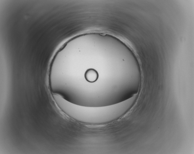 X0000111491296200908041134