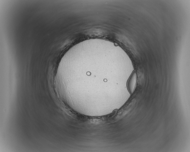 X0000111491297200908041134