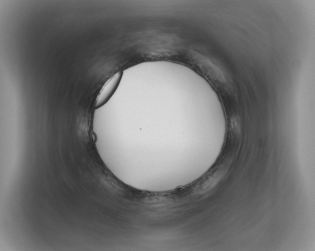 X0000111491300200908041134