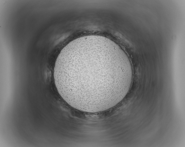 X0000111491302200908041134