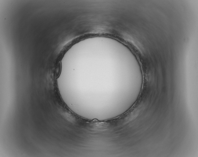 X0000111491304200908041134