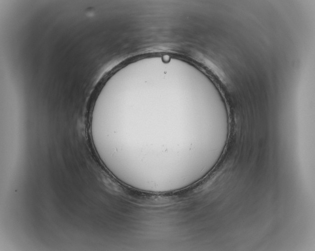 X0000111491308200908041134