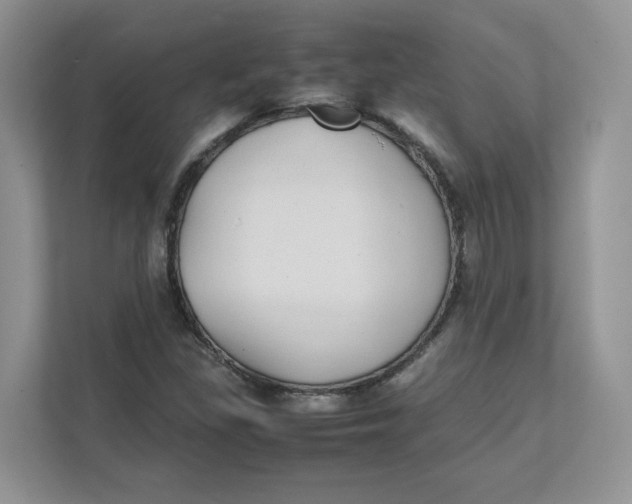 X0000111491309200908041134