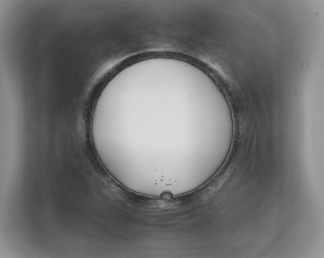 X0000111491311200908041134