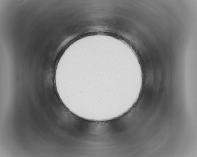 X0000111491314200908041134