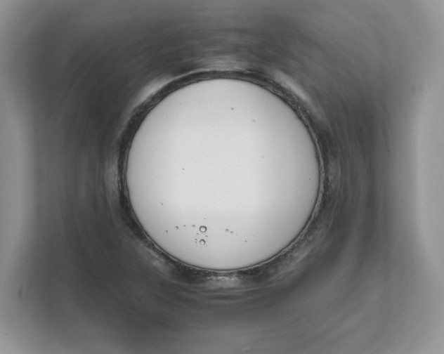 X0000111491315200908041134