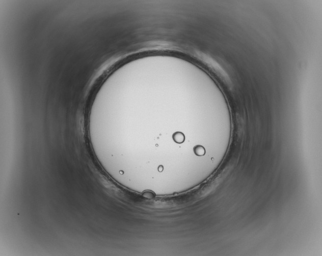 X0000111491318200908041134