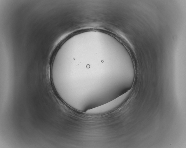 X0000111491320200908041134